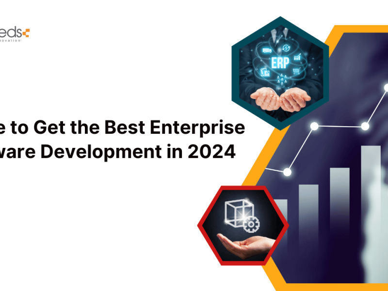 Guide to Get the Best Enterprise Software Development in 2024