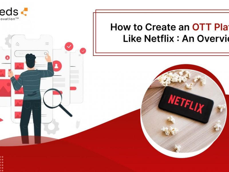 ott platform development like netflix