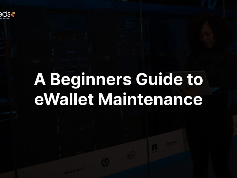 A Beginners Guide to eWallet Maintenance