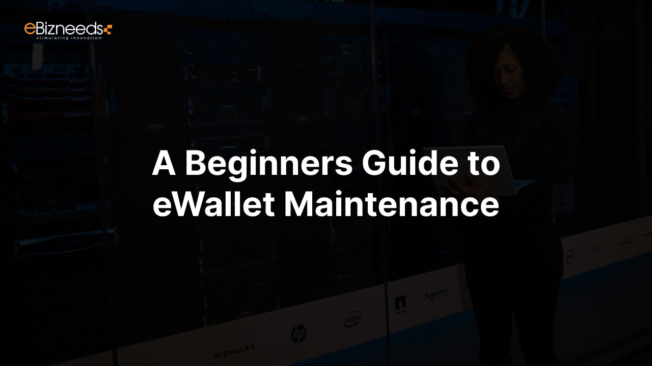 A Beginners Guide to eWallet Maintenance