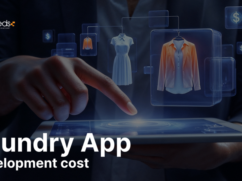 Laundry App Development Cost