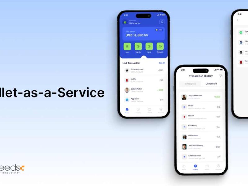 eWallet-as-a-Service. All You Need To Know